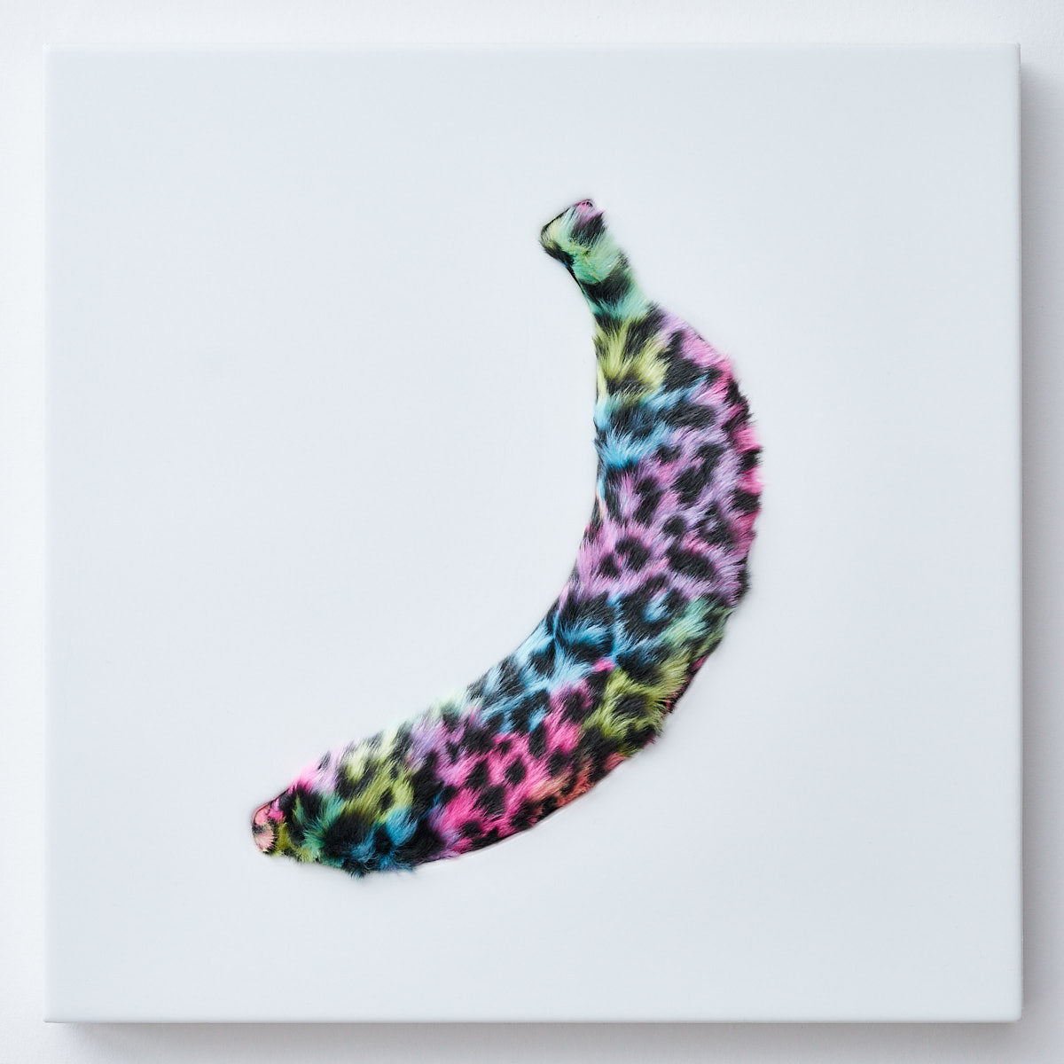 50x50cm | Banana tiger rainbow